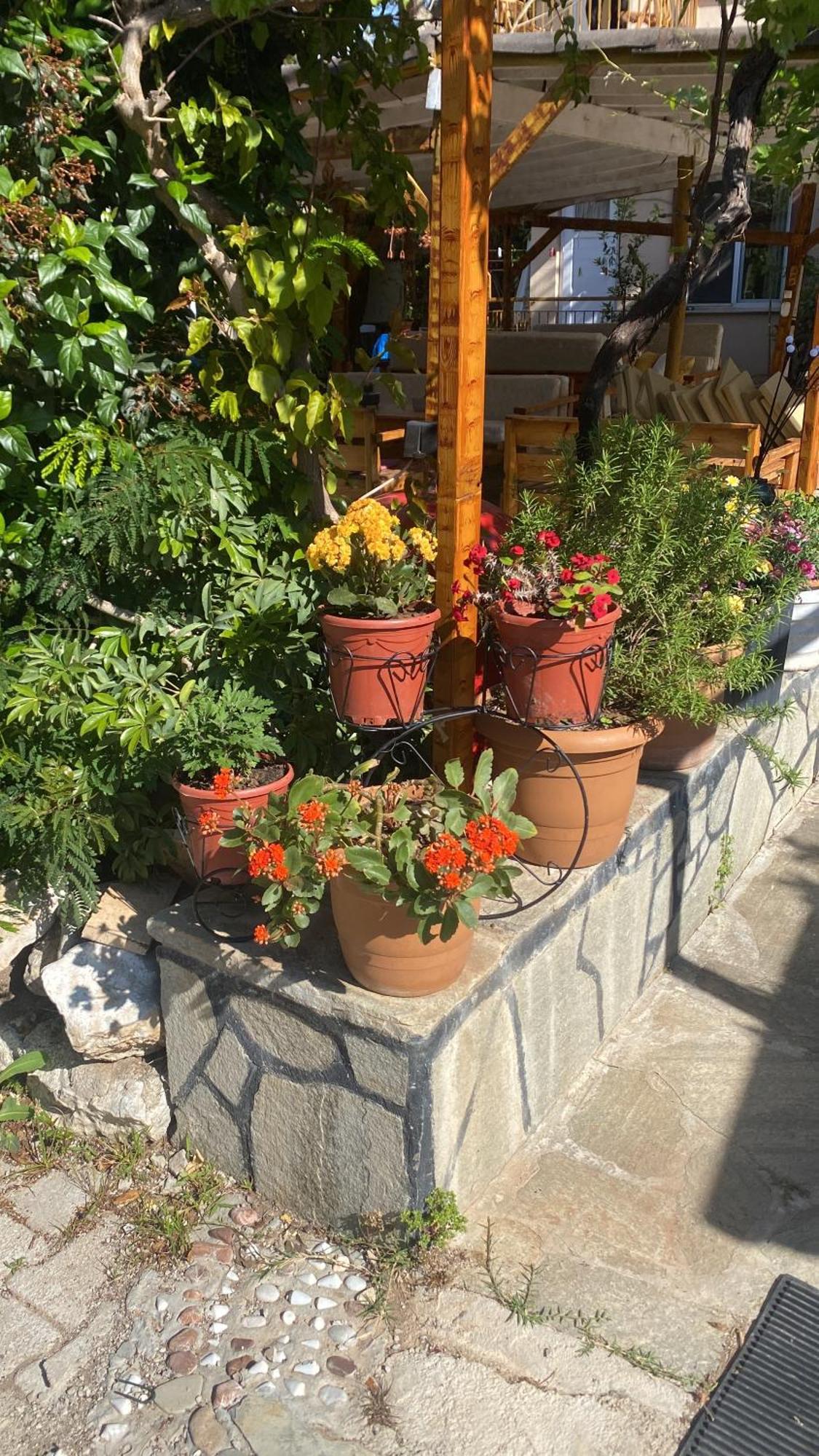 Çıralı Rosemary Pansiyon المظهر الخارجي الصورة